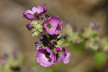 120120_069_s
