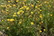 120120_092_s
