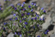 120121_051_s