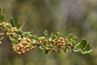 120123_025_s