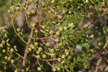 120124_035_s