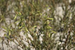 120124_015-s