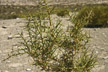 120124_035_s