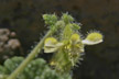 120125_094_s