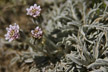 120129_033_s