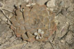 120129_044_s