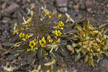 120201_074_s