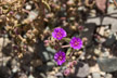 140410_072_s