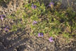 151204_124-s