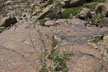 151205_125-s