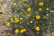 151205_311-s