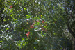 190315_059-s