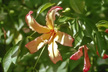 BA_03_019s