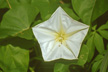 RES_03_069s