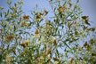 RES_03_076s