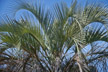 Rios_011s